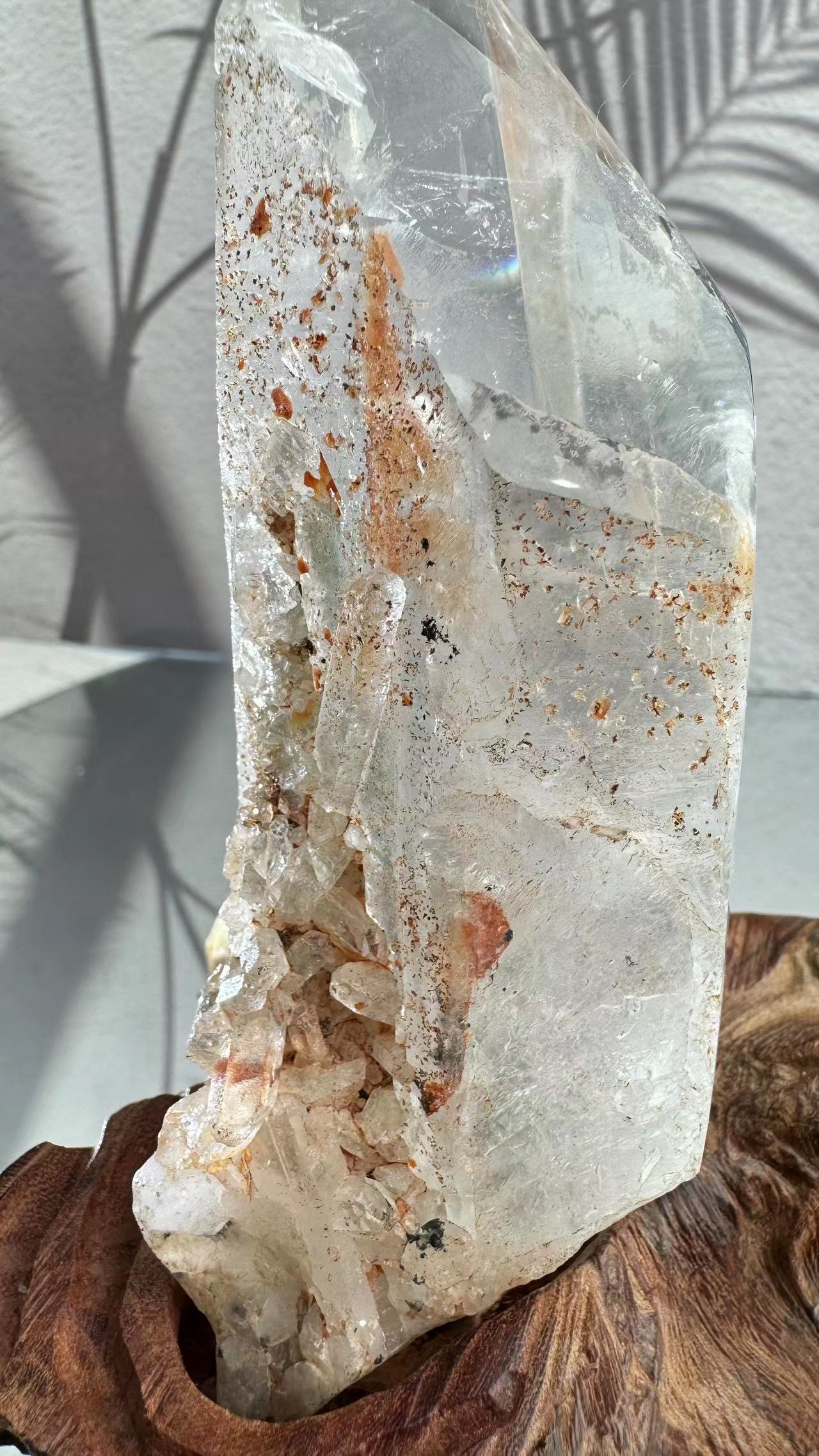 A chlorite crystal tower grows inside the white crystal.