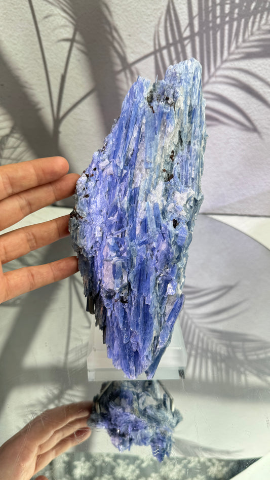 1.53 kg  Natural Brazil Kyanite Raw Quartz Stone