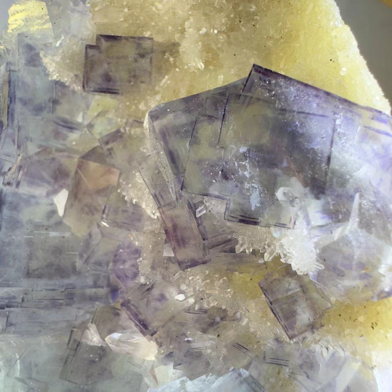 Blue-purple window step fluorite and crystal symbiosis