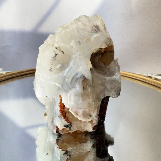 Agate crystal symbiotic skull