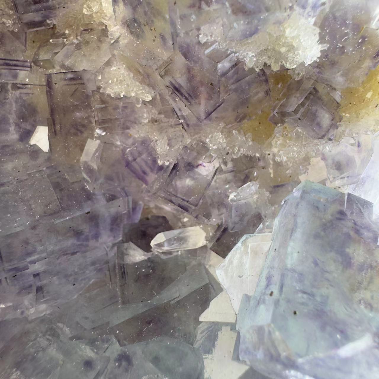 Blue-purple window step fluorite and crystal symbiosis