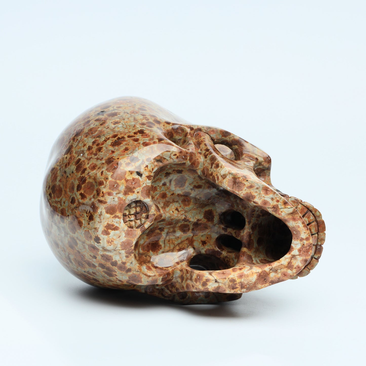 skull