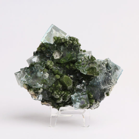 Fluorite Green Crystal Symbiosis