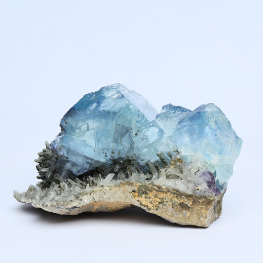 Symbiosis of blue fluorite crystal chalcopyrite.