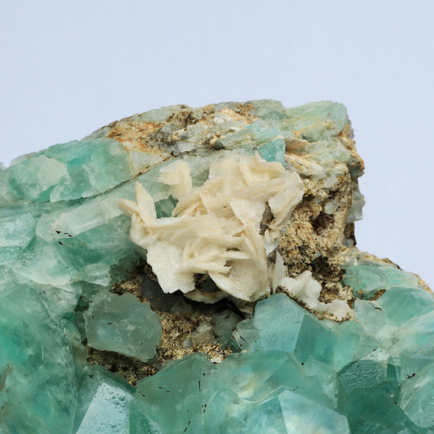 Symbiosis of fluorite and calcite.