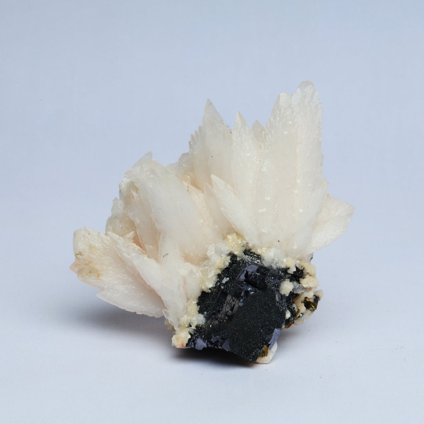 Feather calcite and black tungsten symbiosis